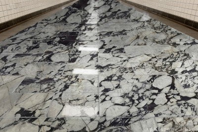 white Bulgari Purple Marble floors